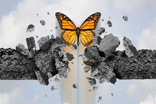 解析识别底部启动信号的实战用法