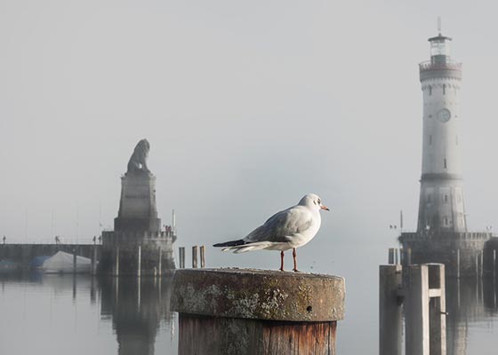 抄底坚决记住“六大形态”，学到就是赚到